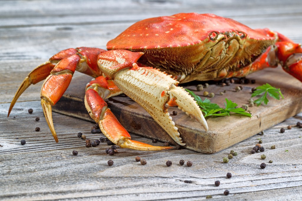 Close up of a steamed Dungeness crab on wooden server board with herb and spices ready to eat.